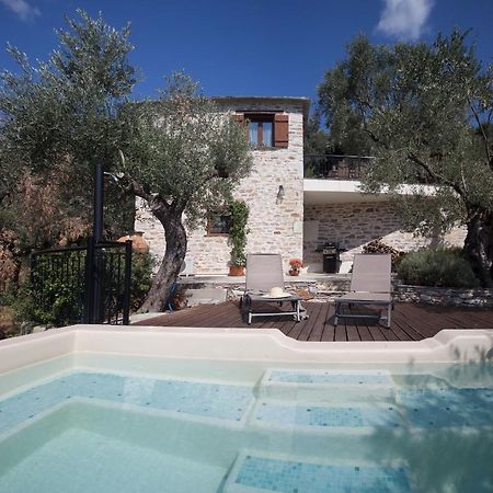Villa Ioanna By Pelion Esties Ano Gatzea 外观 照片