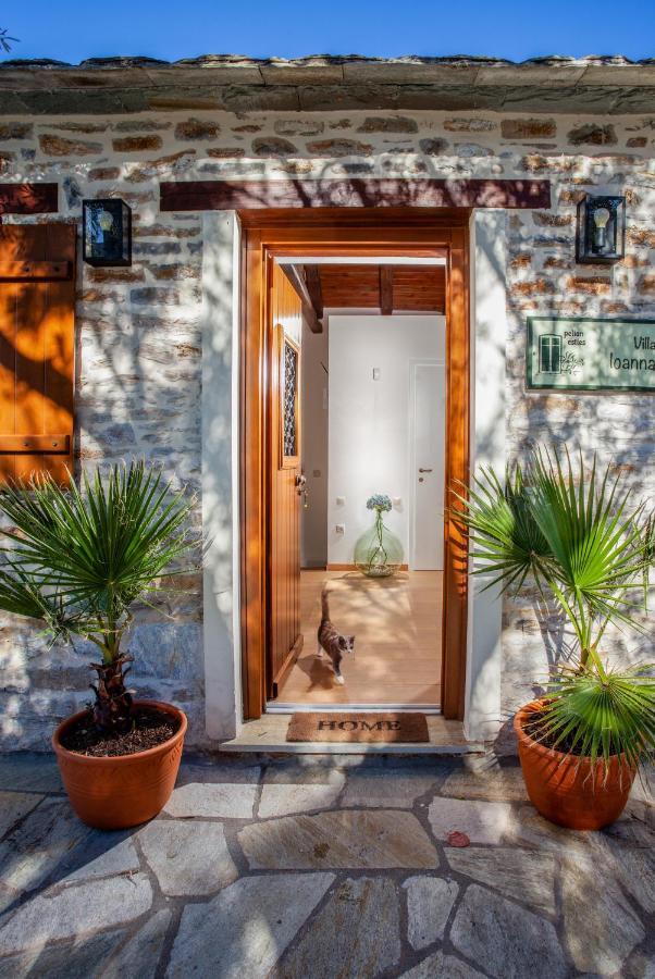 Villa Ioanna By Pelion Esties Ano Gatzea 外观 照片