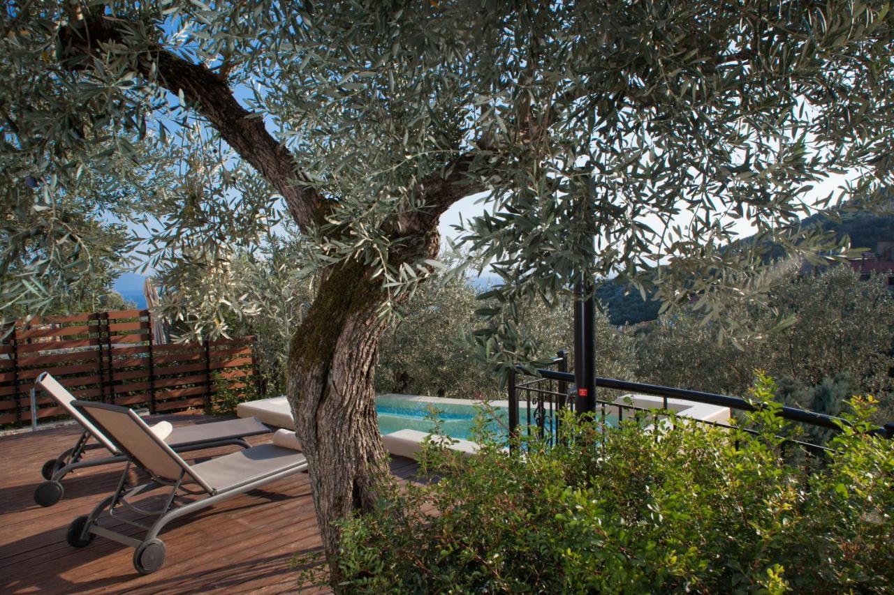 Villa Ioanna By Pelion Esties Ano Gatzea 外观 照片